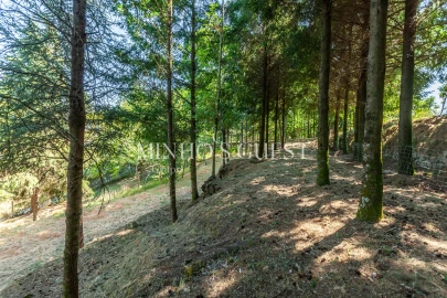 Moradia T1 para Arrendamento férias em Arões (São Romão)