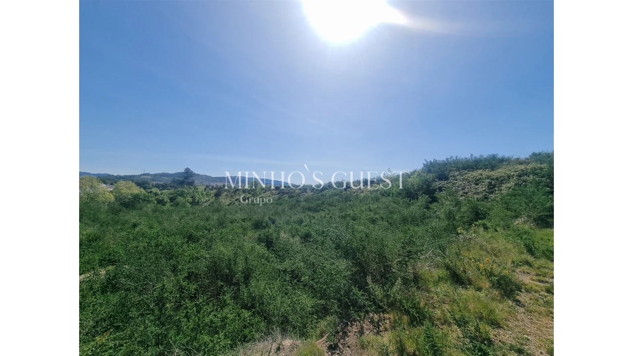 Terreno Agricola ou Rústico para Venda em Brito Foto 6