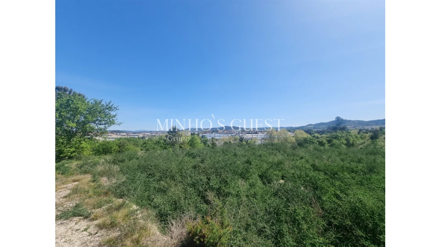 Terreno Agricola ou Rústico para Venda em Brito Foto 5