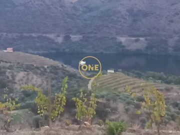 Quinta T4 para Venda em Lousa