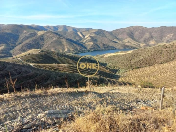 Quinta T4 para Venda em Lousa