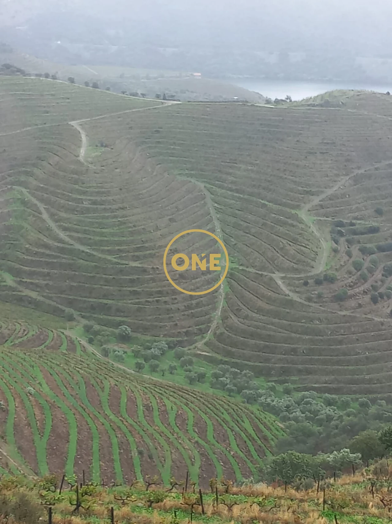 Quinta T4 para Venda em Lousa Foto 4