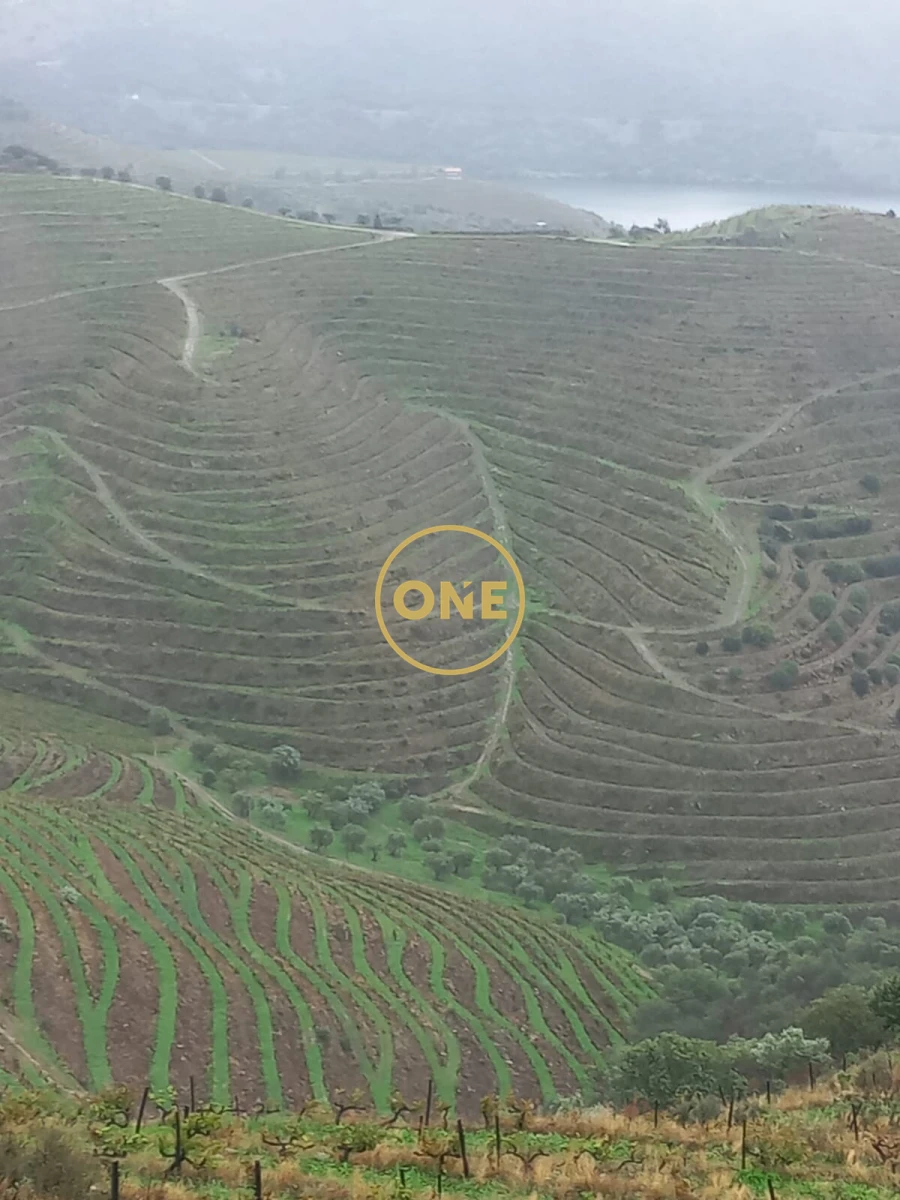 Quinta T4 para Venda em Lousa Foto 4