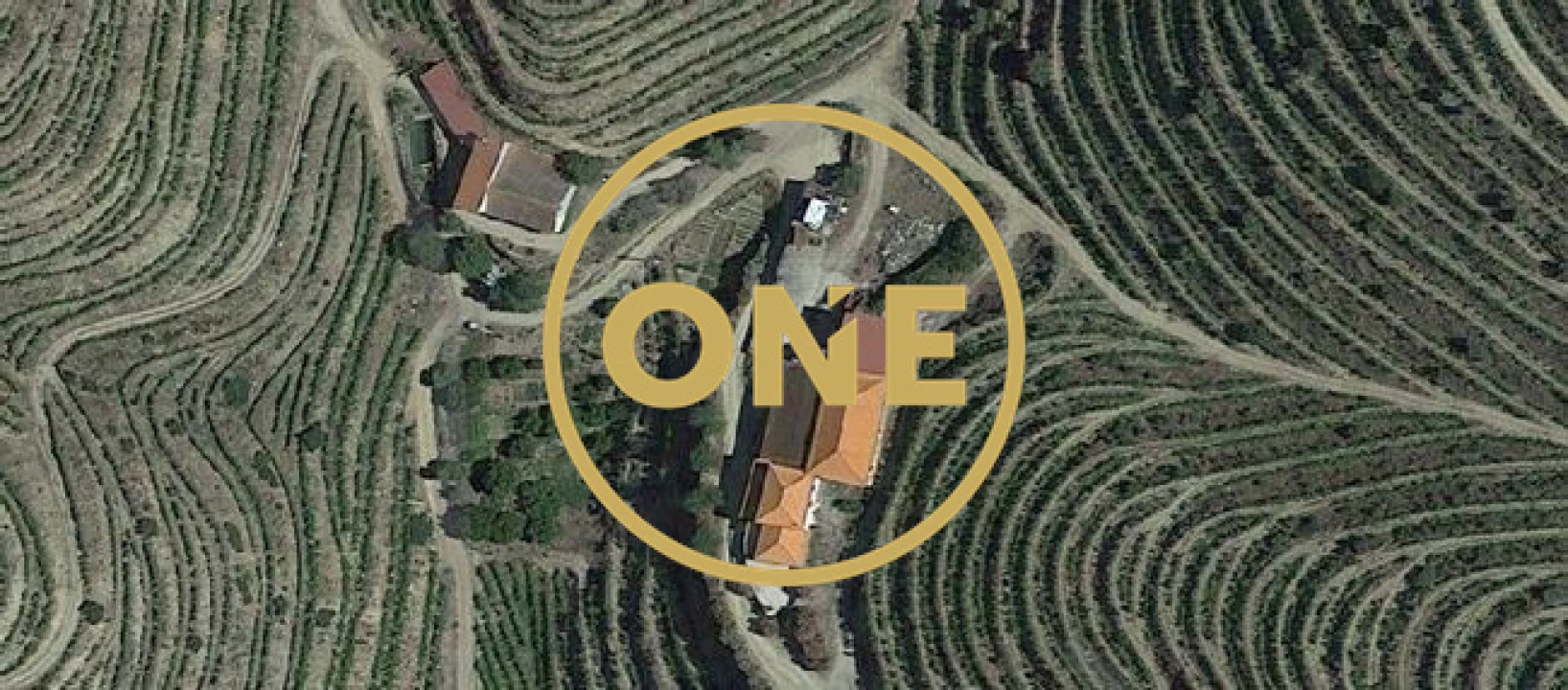 Quinta T4 para Venda em Lousa Foto 10