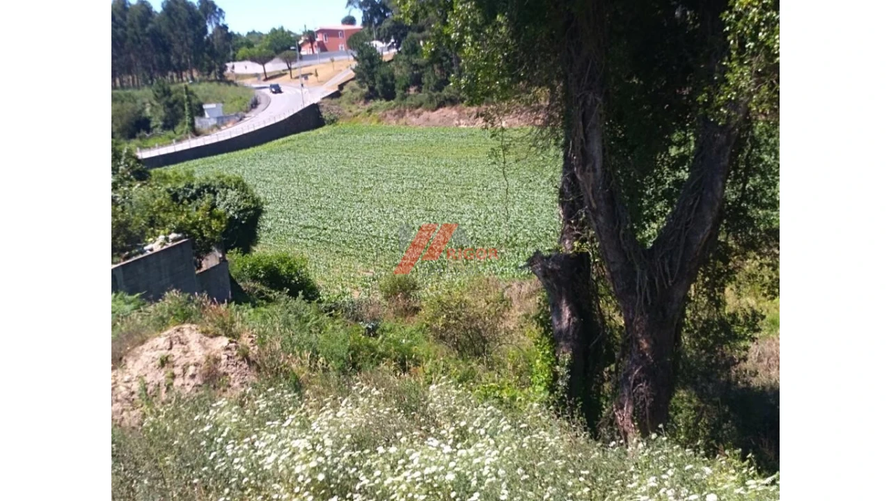 Terreno para Venda em Retorta e Tougues Foto 11