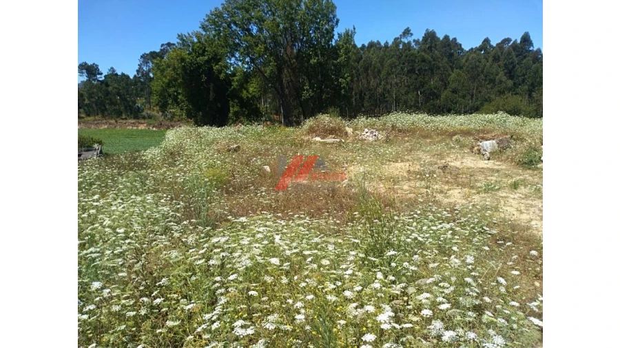 Terreno para Venda em Retorta e Tougues Foto 15