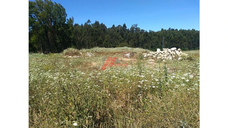 Terreno para Venda em Retorta e Tougues Foto 12