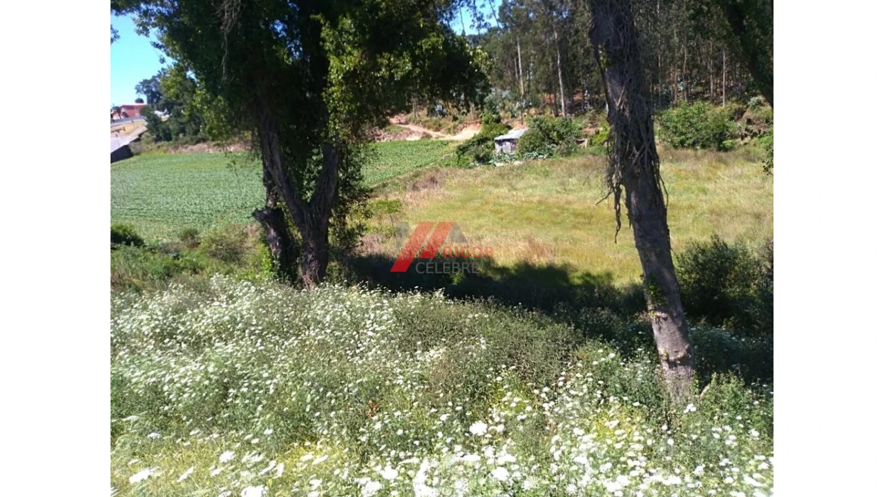 Terreno para Venda em Retorta e Tougues Foto 9