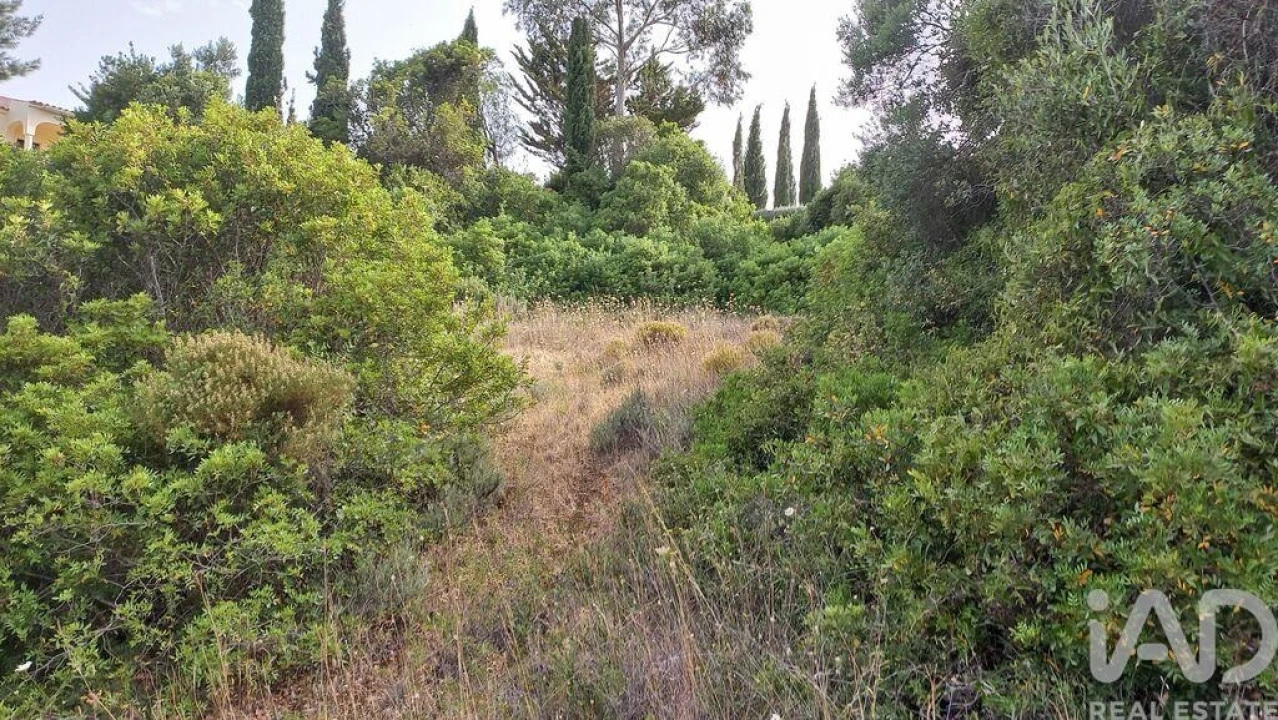 Terreno para Venda em Loule (São Clemente) Foto 3