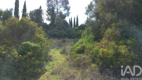 Terreno para Venda em Loule (São Clemente)