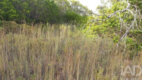 Terreno para Venda em Loule (São Clemente)