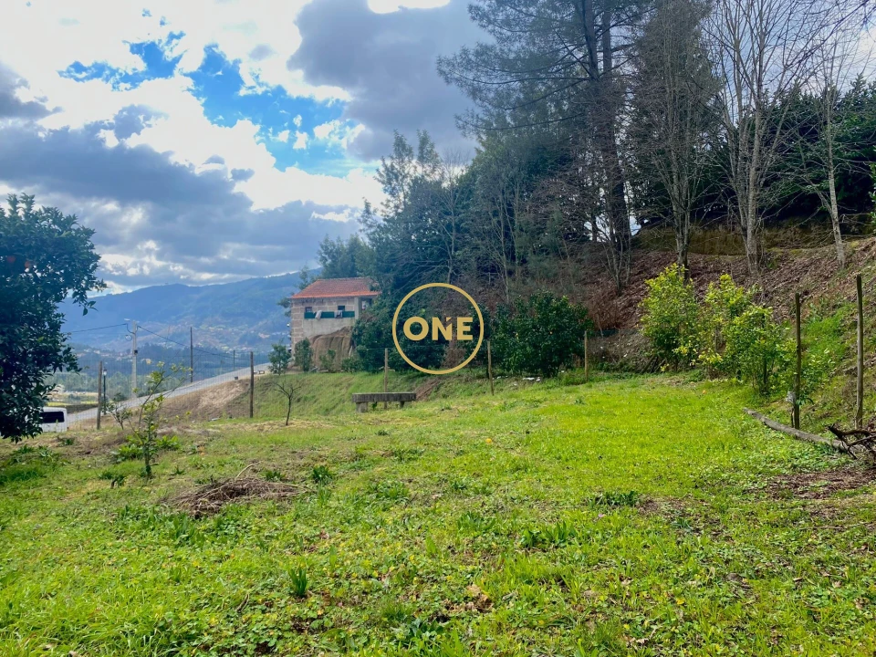 Quinta T7 para Venda em Gondar Foto 23