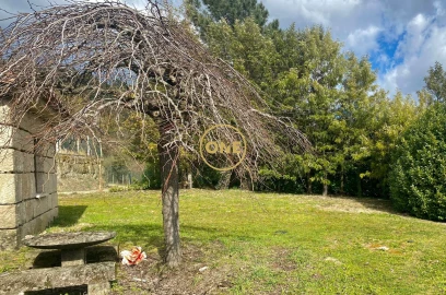 Quinta T7 para Venda em Gondar