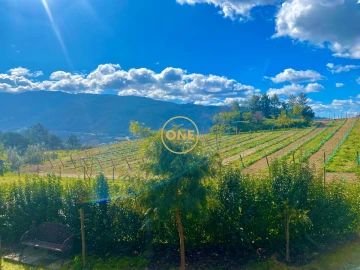 Quinta T7 para Venda em Gondar