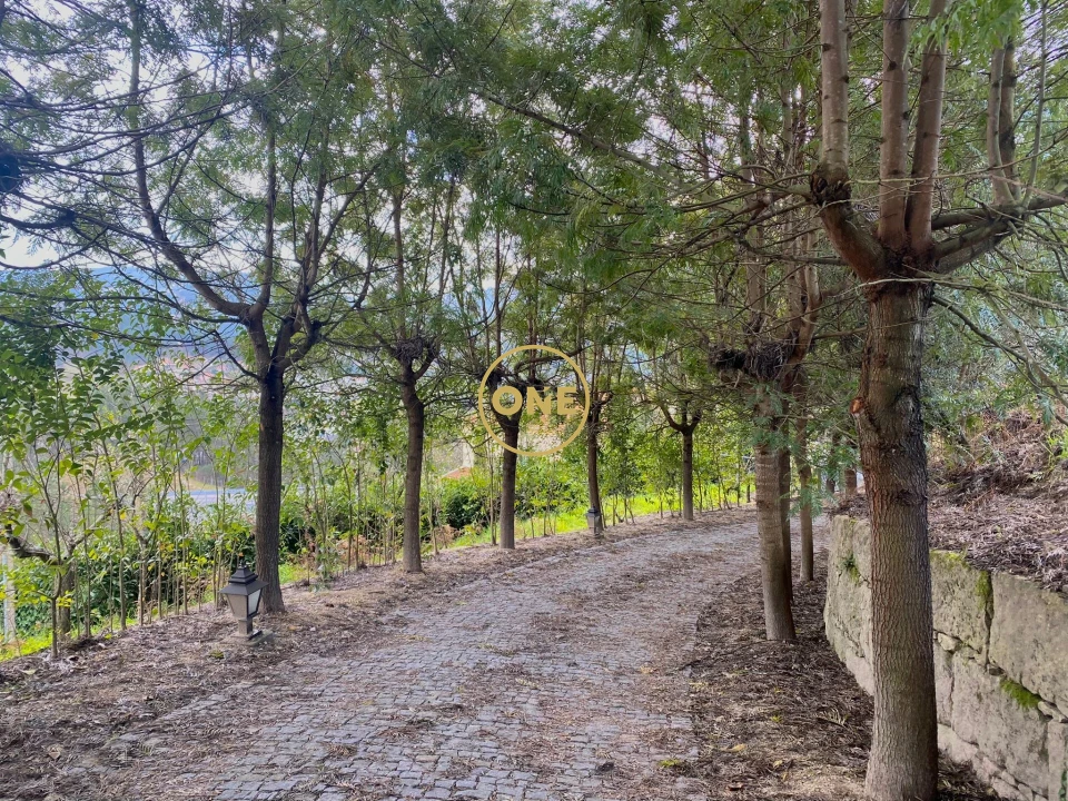 Quinta T7 para Venda em Gondar Foto 41