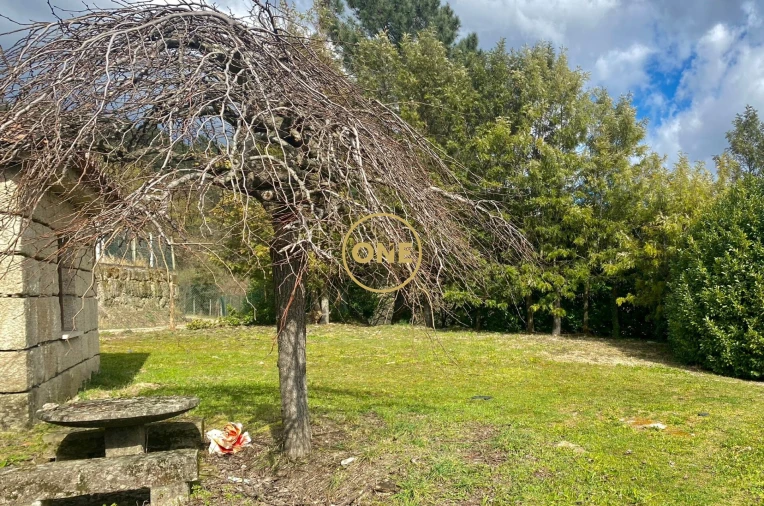 Quinta T7 para Venda em Gondar Foto 33