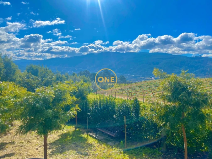 Quinta T7 para Venda em Gondar Foto 3