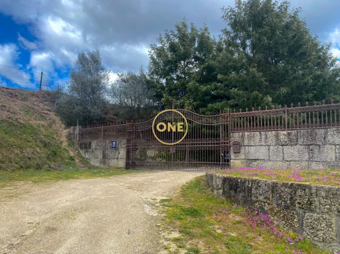 Quinta T7 para Venda em Gondar Foto 42