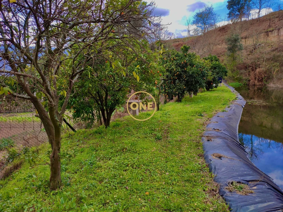 Quinta T7 para Venda em Gondar Foto 21