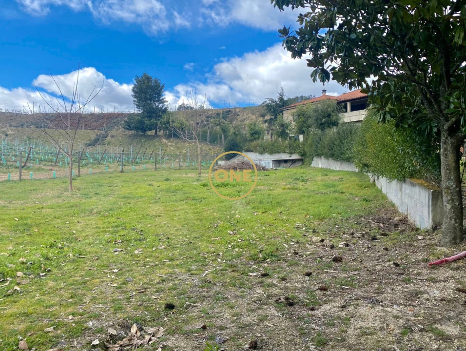 Quinta T7 para Venda em Gondar Foto 39