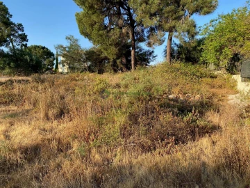 Terreno para Venda em Quarteira
