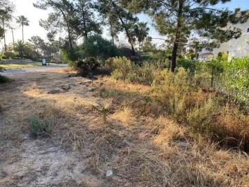 Terreno para Venda em Quarteira
