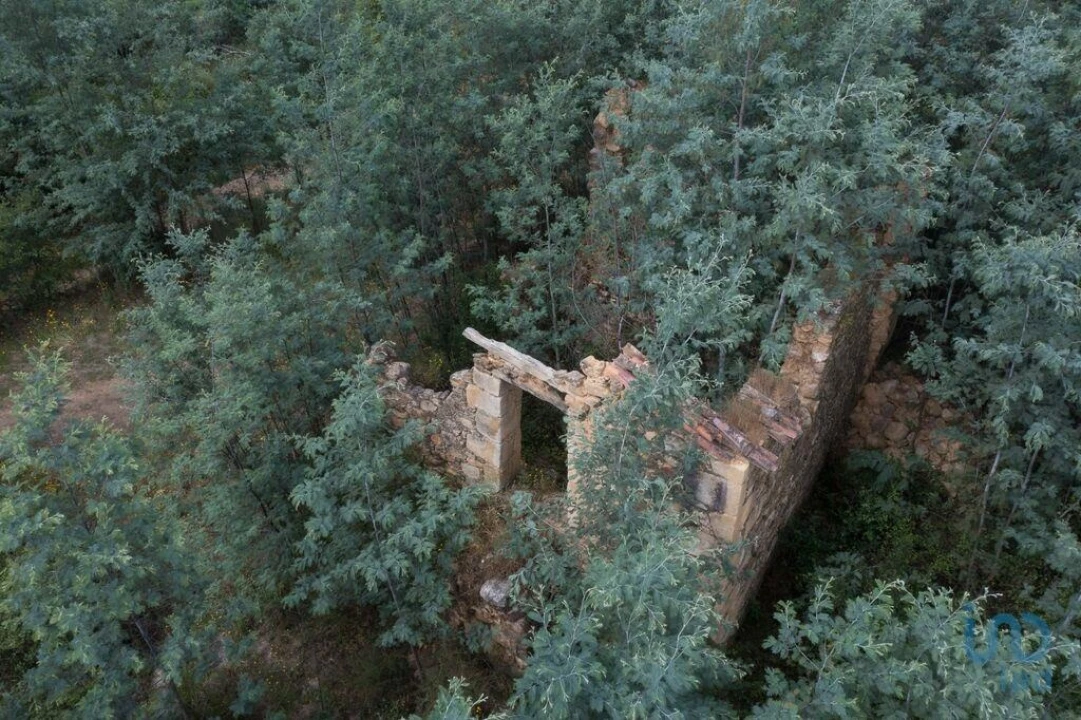 Moradia para Venda em Serpins Foto 9