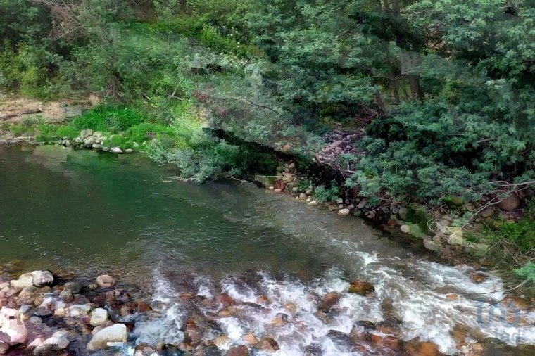 Moradia para Venda em Serpins Foto 7