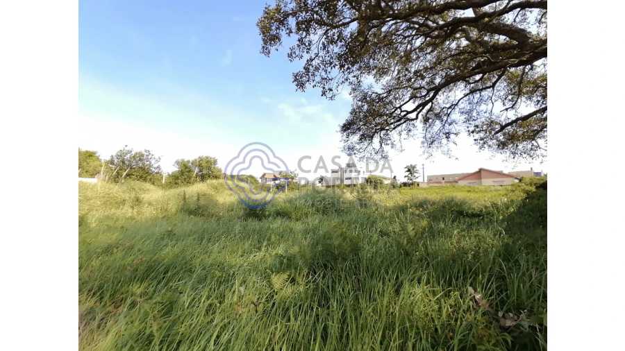 Terreno para Venda em São Felix da Marinha Foto 8