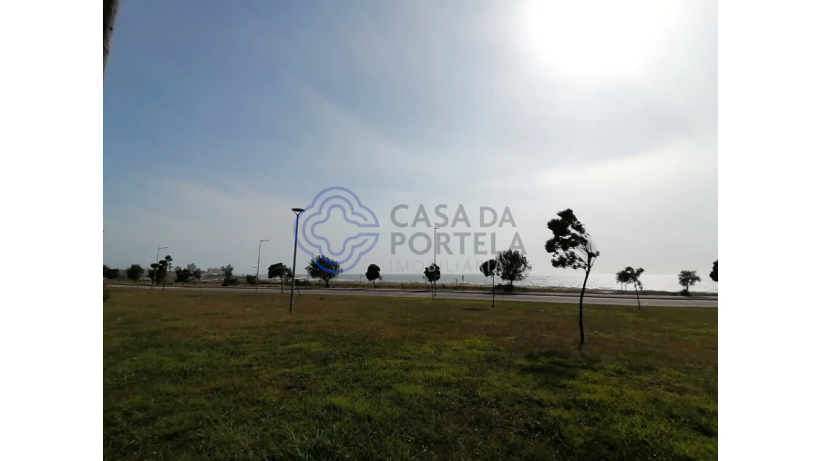 Terreno para Venda em São Felix da Marinha Foto 13