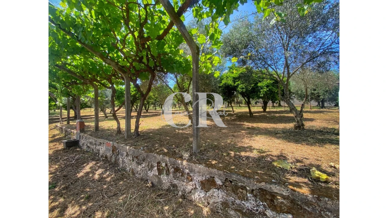 Moradia T2 para Venda em Figueiró dos Vinhos e Bairradas Foto 6