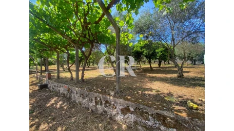 Moradia T2 para Venda em Figueiró dos Vinhos e Bairradas