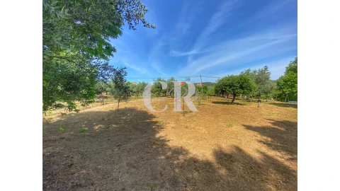 Moradia T2 para Venda em Figueiró dos Vinhos e Bairradas