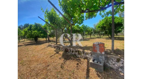 Moradia T2 para Venda em Figueiró dos Vinhos e Bairradas