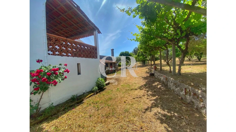 Moradia T2 para Venda em Figueiró dos Vinhos e Bairradas Foto 5