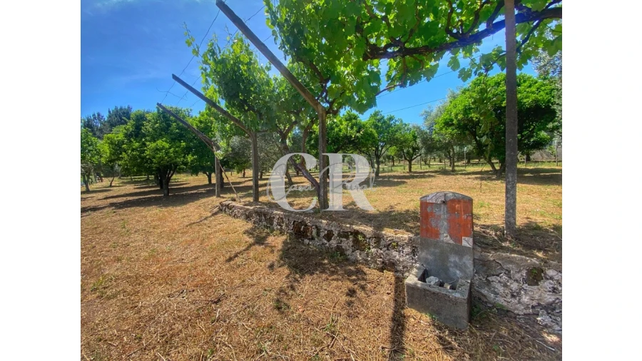 Moradia T2 para Venda em Figueiró dos Vinhos e Bairradas Foto 7