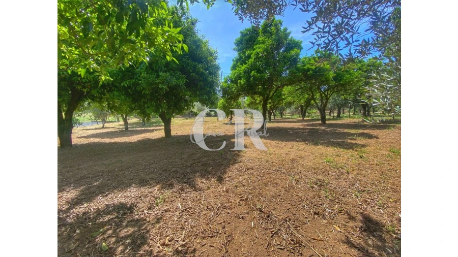 Moradia T2 para Venda em Figueiró dos Vinhos e Bairradas Foto 10