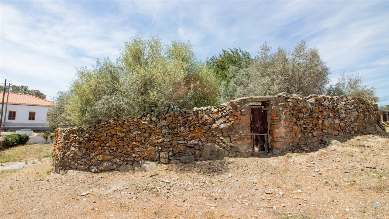 Moradia T2 para Venda em São Miguel do Pinheiro, São Pedro de Solis, São Sebastião dos Carros Foto 10