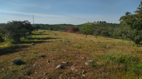 Terreno Agricola ou Rústico para Venda em Alcoutim e Pereiro