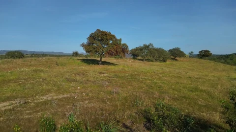 Terreno Agricola ou Rústico para Venda em Alcoutim e Pereiro