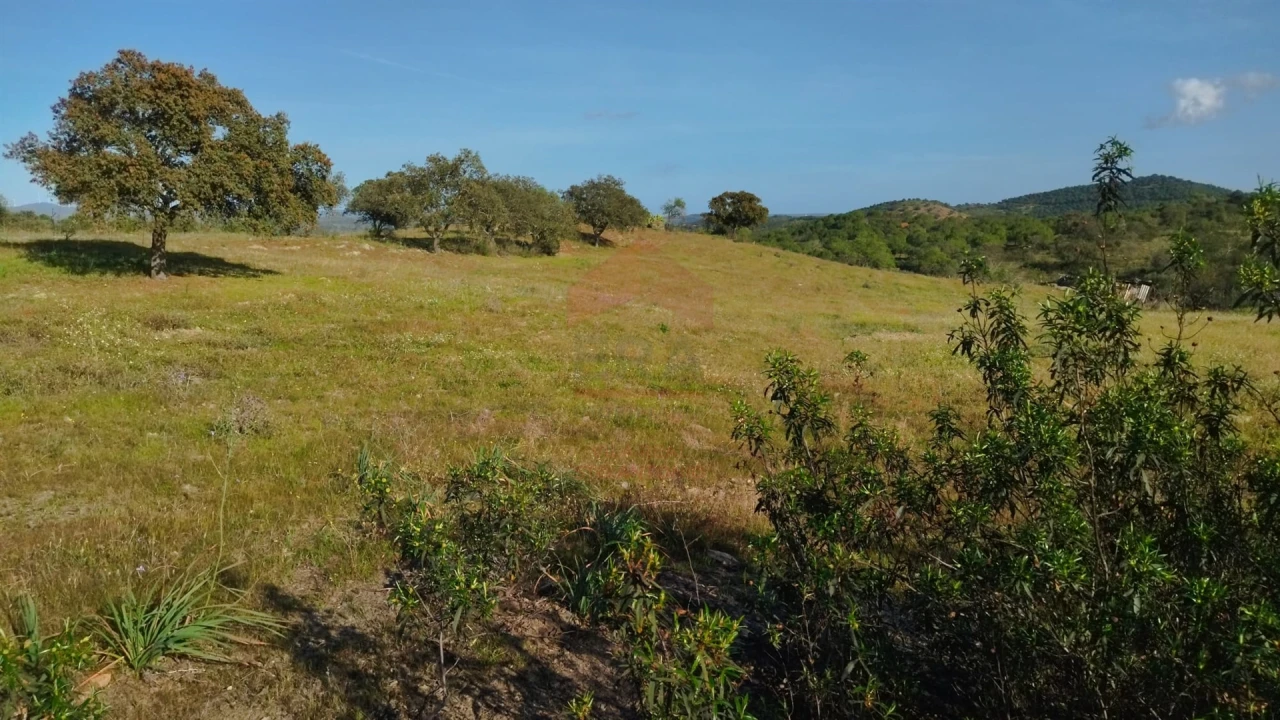 Terreno Agricola ou Rústico para Venda em Alcoutim e Pereiro Foto 1