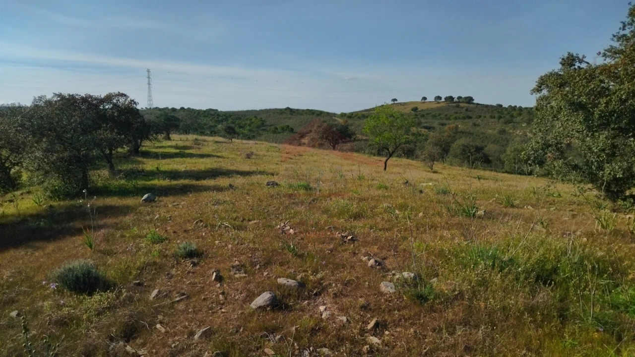 Terreno Agricola ou Rústico para Venda em Alcoutim e Pereiro Foto 4