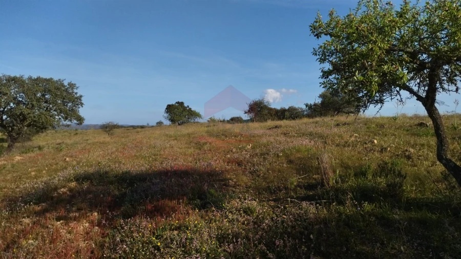Terreno Agricola ou Rústico para Venda em Alcoutim e Pereiro Foto 5