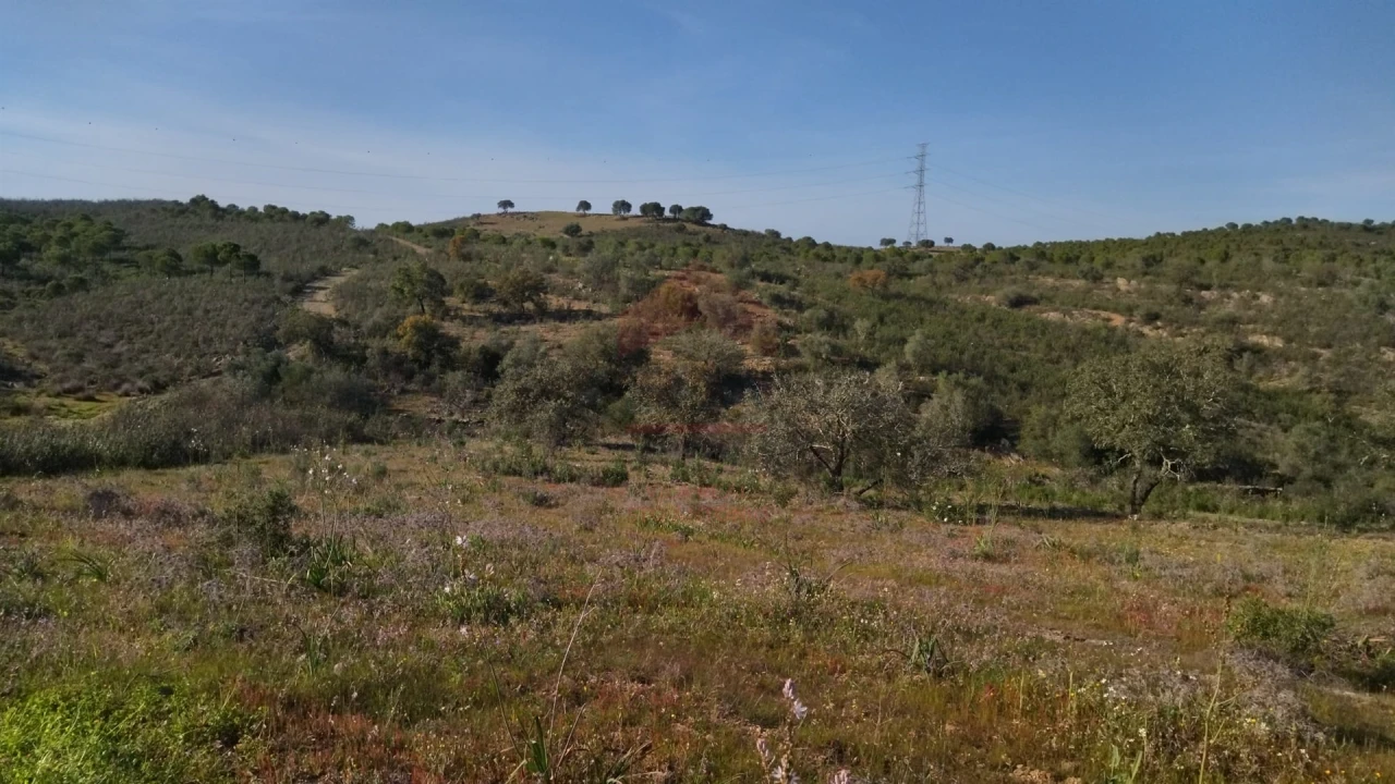 Terreno Agricola ou Rústico para Venda em Alcoutim e Pereiro Foto 6