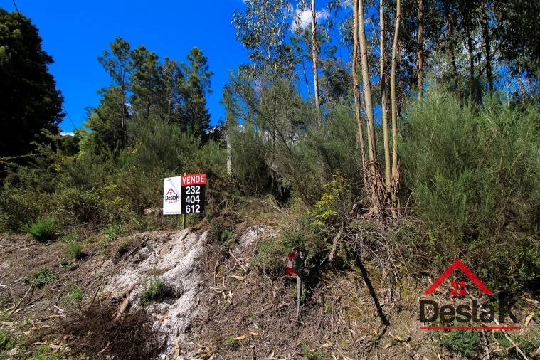 Terreno Agricola ou Rústico para Venda em Sul Foto 10