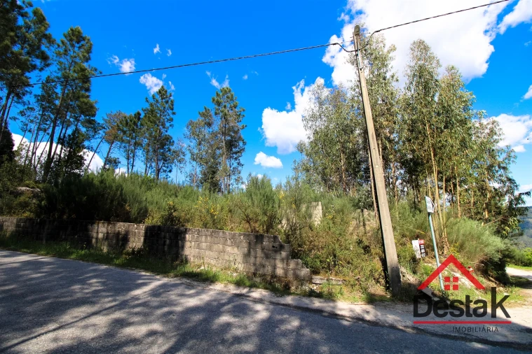 Terreno Agricola ou Rústico para Venda em Sul Foto 5