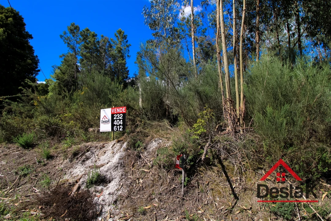 Terreno Agricola ou Rústico para Venda em Sul Foto 10