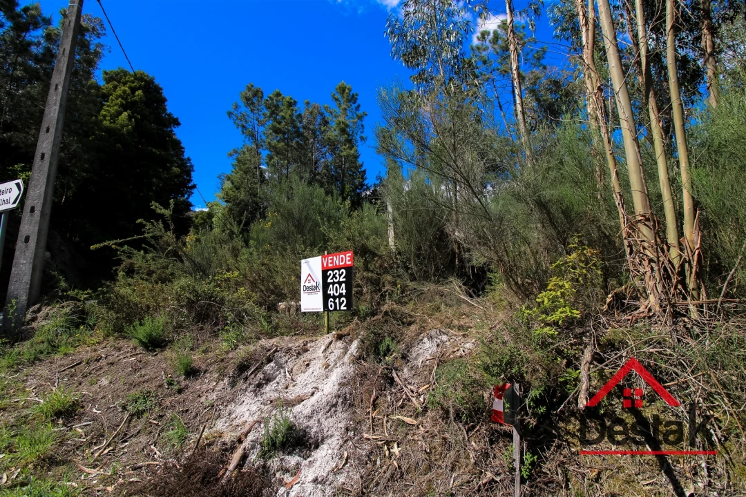 Terreno Agricola ou Rústico para Venda em Sul Foto 9
