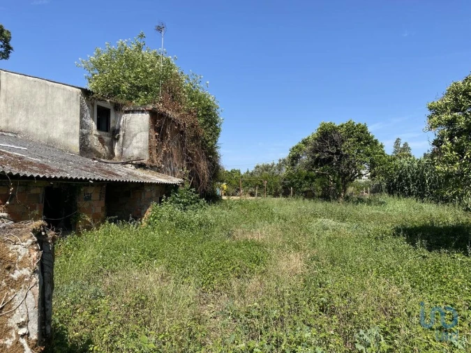 Moradia T3 para Venda em Arrimal e Mendiga Foto 2