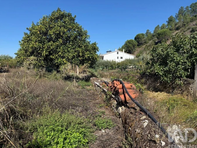 Moradia T3 para Venda em Arrimal e Mendiga Foto 23